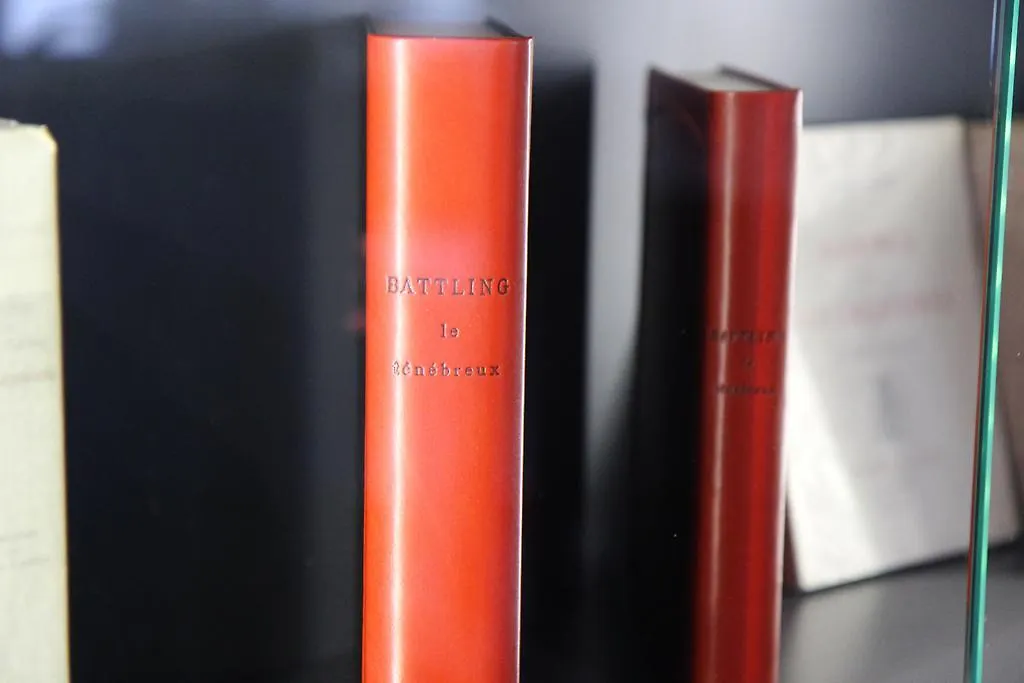 ****  Hotel Litteraire Alexandre Vialatte, BW Signature Collection Clermont-Ferrand France
